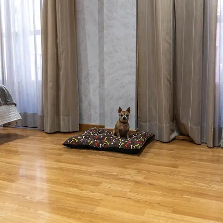 센트로 2*